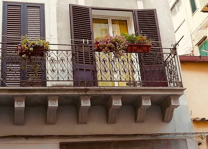 Il Geranio Blu Daire Palermo